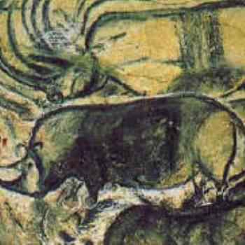 Click para ampliar. Pulsa en el nombre para ver la ficha. Rinocerontes, Cueva Chauvet (Francia)